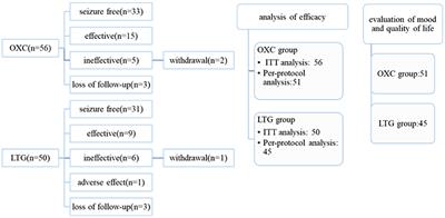 Comparison of Lamotrigine and Oxcarbazepine Monotherapy Among Chinese Adult Patients With Newly-Diagnosed Focal-Onset Epilepsy: A Prospective Observational Study